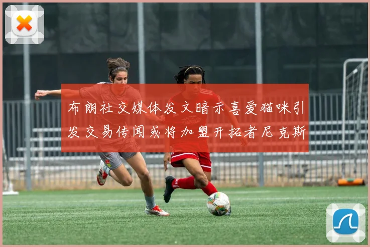 布朗社交媒体发文暗示喜爱猫咪引发交易传闻或将加盟开拓者尼克斯雷霆湖人