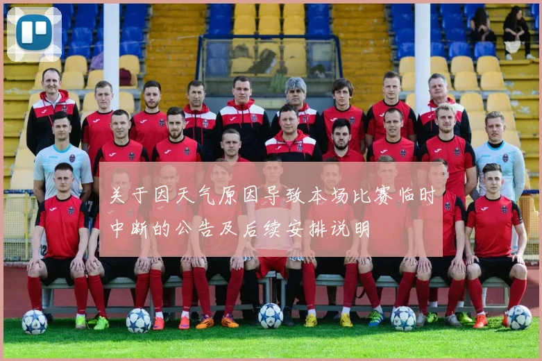 关于因天气原因导致本场比赛临时中断的公告及后续安排说明